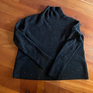 Everlane Cashmere Square Turtleneck
